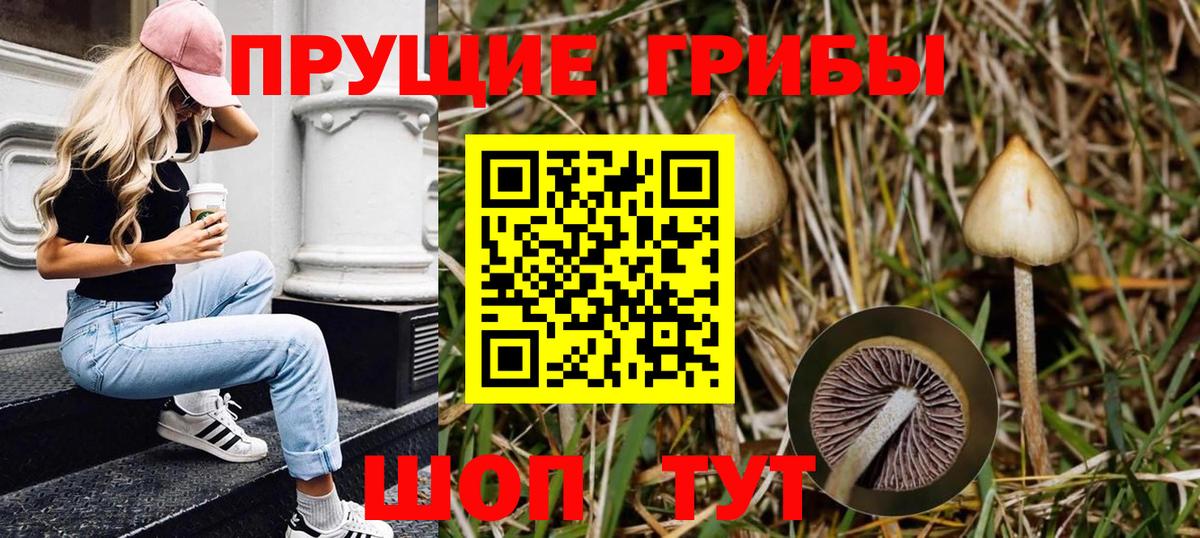 Псилоцибиновые грибы Magic Shrooms  Псилоцибиновые грибы ЛСД  Вход с VPN  Рузаевка 